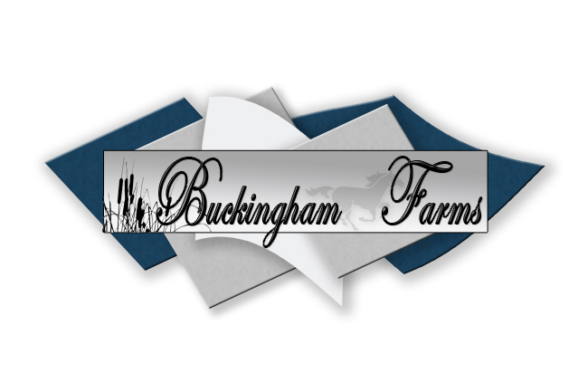 Buckingham Logo