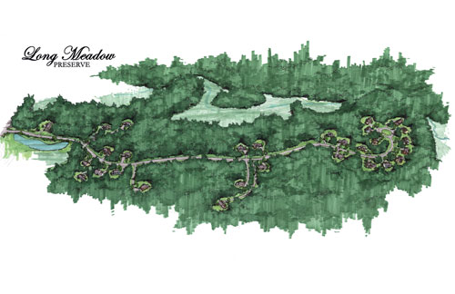 Long Meadow Neighborhood Plan in Auburn, NH. Long Meadow Neighborhood Plan in Auburn, NH.